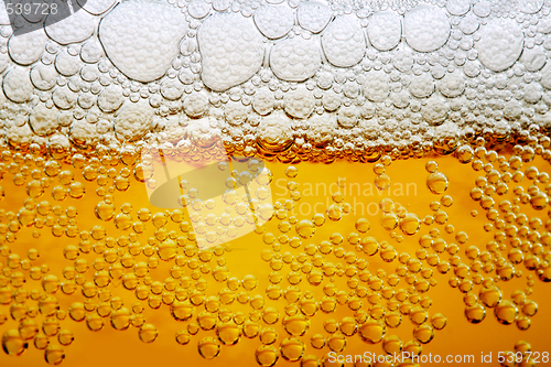 Image of Close up photo of beer