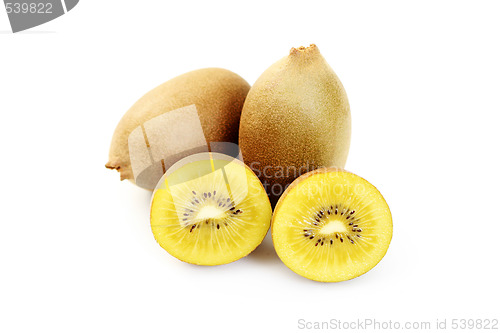 Image of golden kiwi