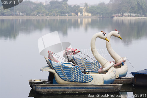 Image of Swan pedal boats in Hanoi