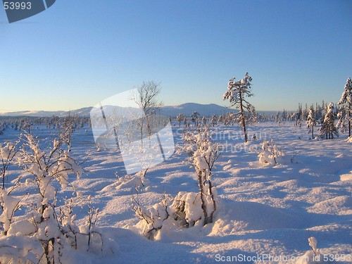 Image of winter landscape