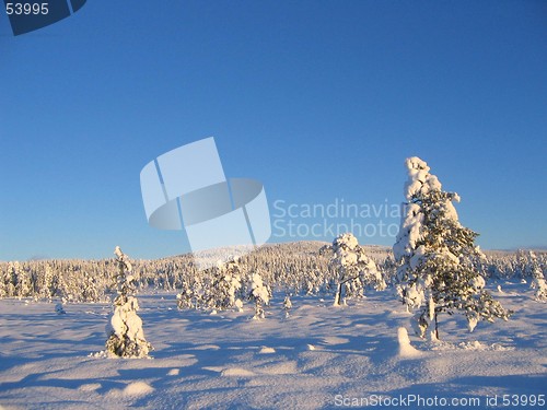 Image of Winter landscape