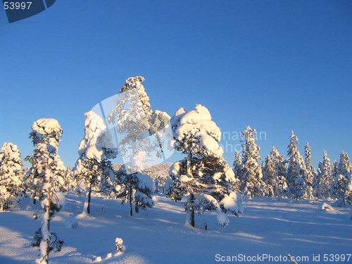 Image of winter landscape