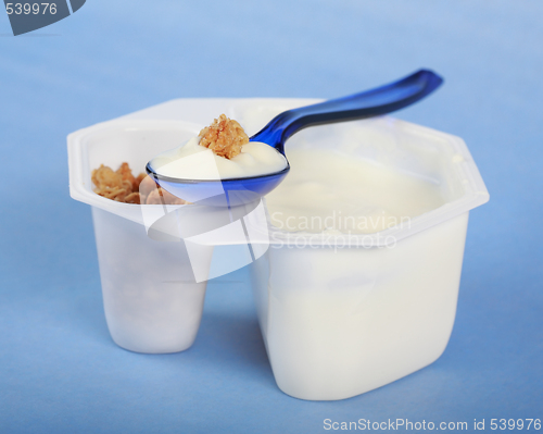Image of White yogurt