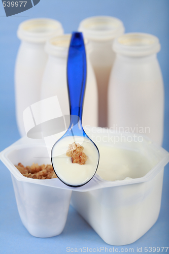 Image of White yogurt