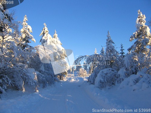 Image of Winter road