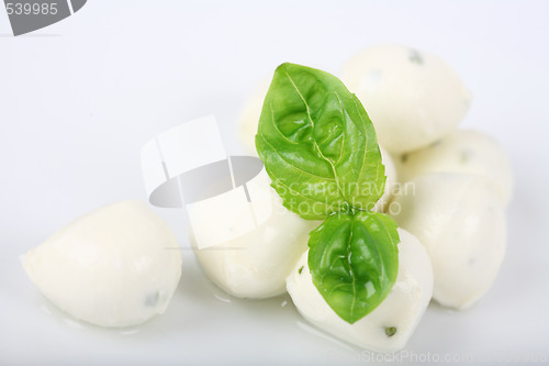 Image of Mozzarella with basil