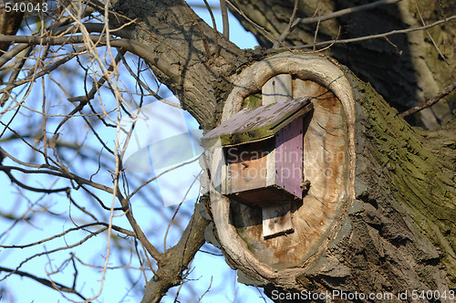 Image of Nesting Box