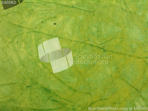 Image of Paper
