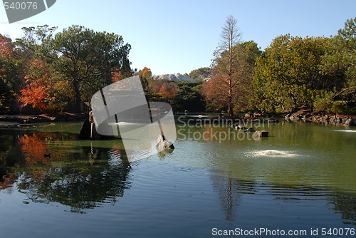 Image of Japanese garden