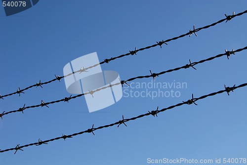 Image of Barbed wire