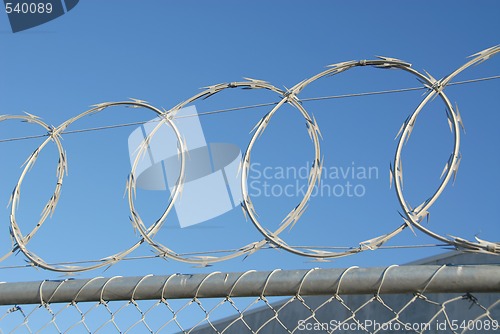 Image of Razor wire