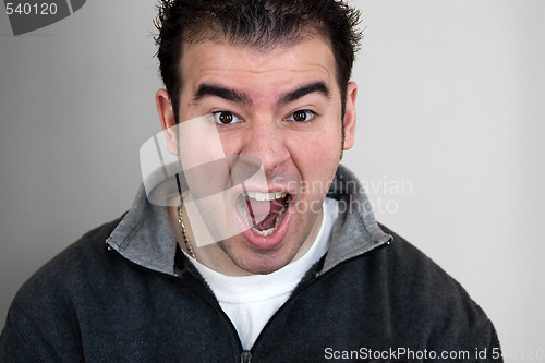 Image of Crazy Man Screams