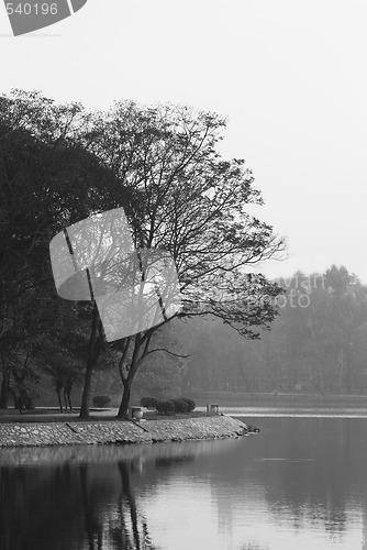 Image of Trees and water