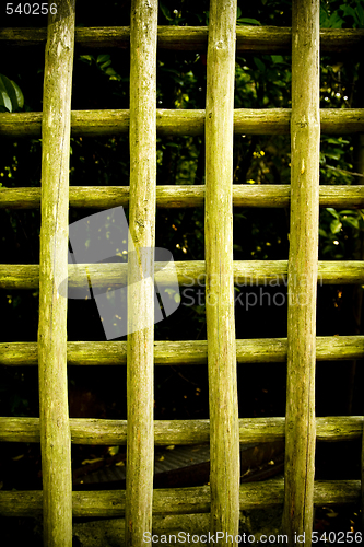 Image of Wood Fence