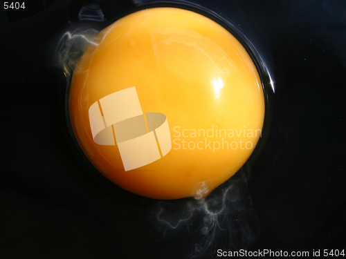 Image of Egg
