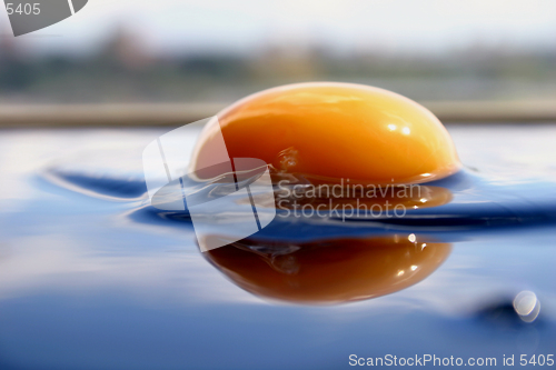 Image of Egg [2]