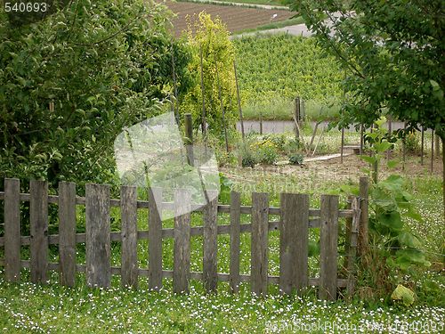 Image of garden