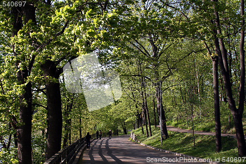 Image of Park in Helsinki