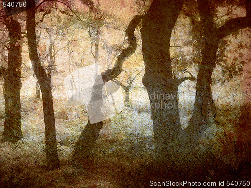 Image of Morning light
