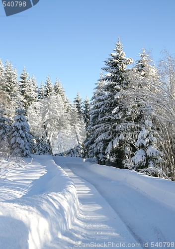 Image of Winter road