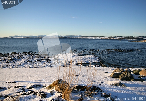 Image of winter shore