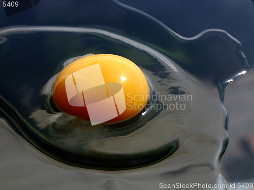 Image of Egg [3]