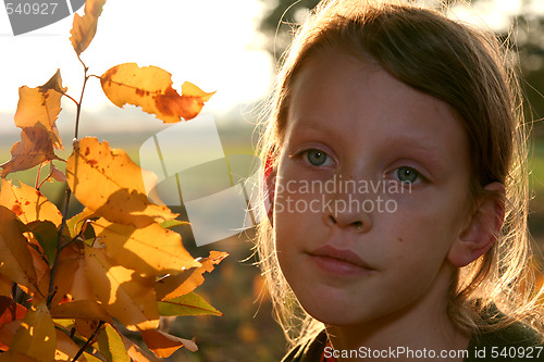 Image of Autumnal portrait