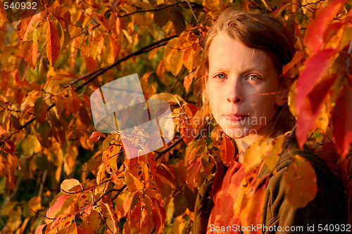 Image of Autumnal portrait
