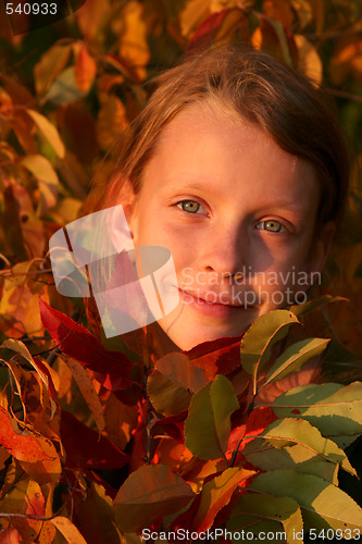 Image of Autumnal portrait