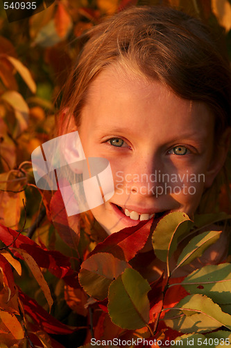 Image of Autumnal portrait