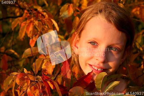 Image of Autumnal portrait