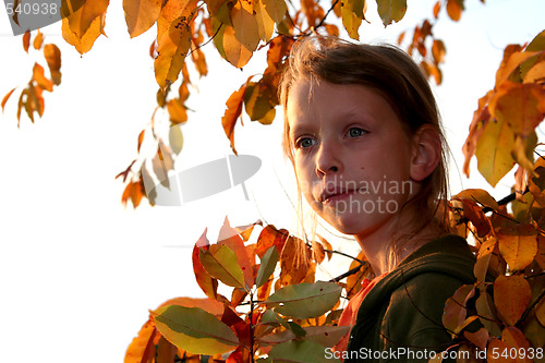 Image of Autumnal portrait