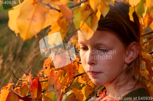 Image of Autumnal portrait