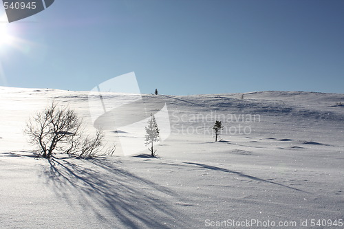 Image of Winterlandscape