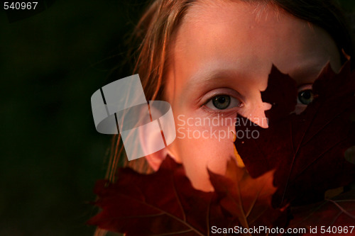 Image of Autumnal portrait