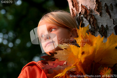 Image of Autumnal portrait