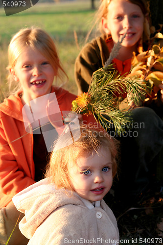 Image of Autumnal walk