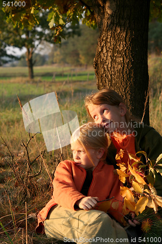 Image of Autumnal walk