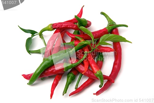 Image of Red hot chili peppers isolated on the white
