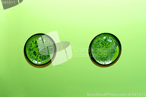 Image of Green buttons tiles