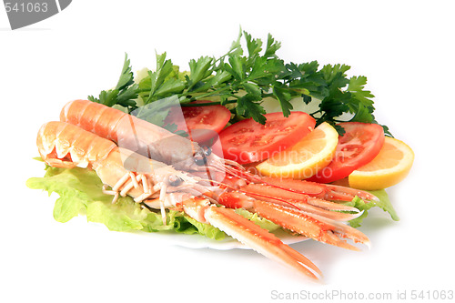 Image of Norway lobster