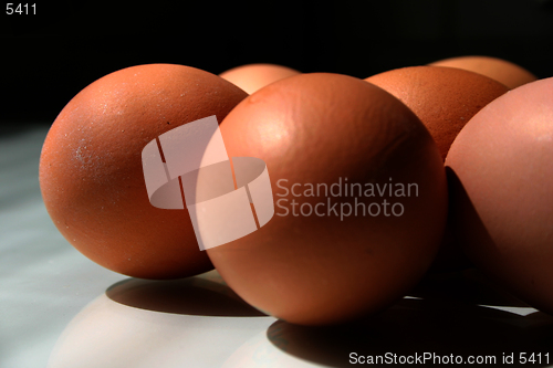 Image of Eggs