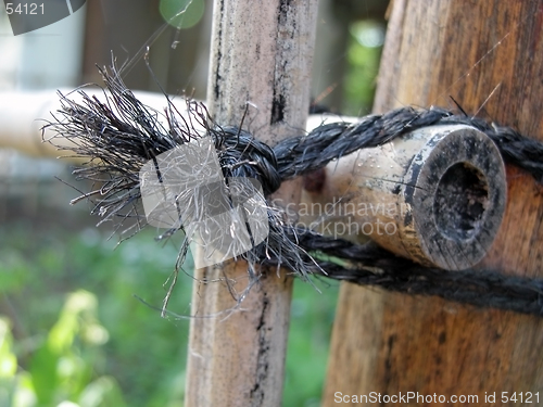 Image of Old bamboo fence