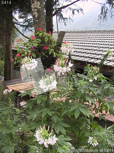 Image of Garden