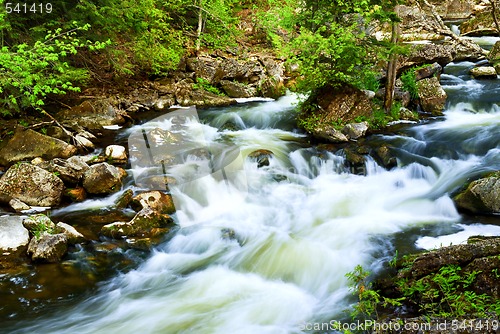 Image of River through woods