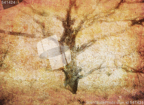 Image of Old Oak tree