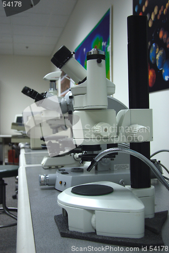 Image of Microscopes in the lab