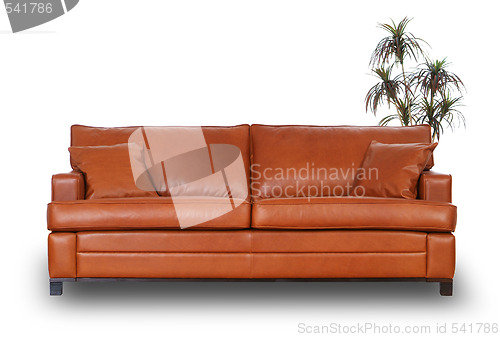 Image of Brown leather sofa with small palm tree