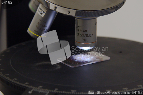 Image of petrographic sample being analyzed