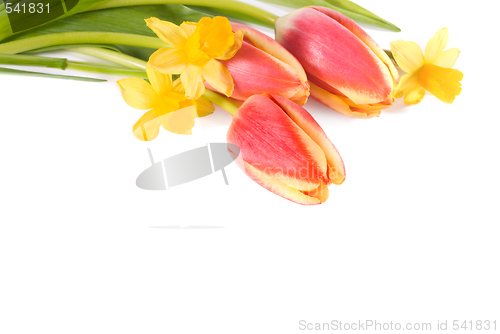 Image of bouquet of flower